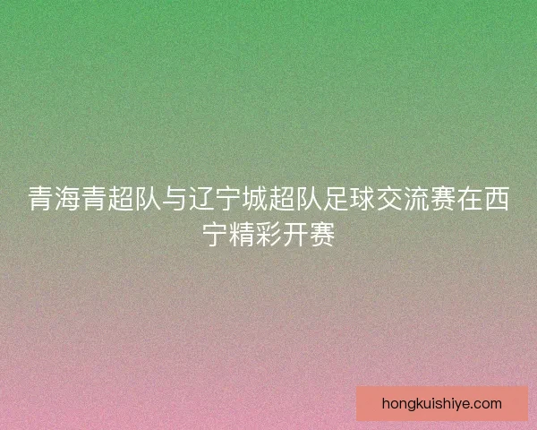 青海青超队与辽宁城超队足球交流赛在西宁精彩开赛